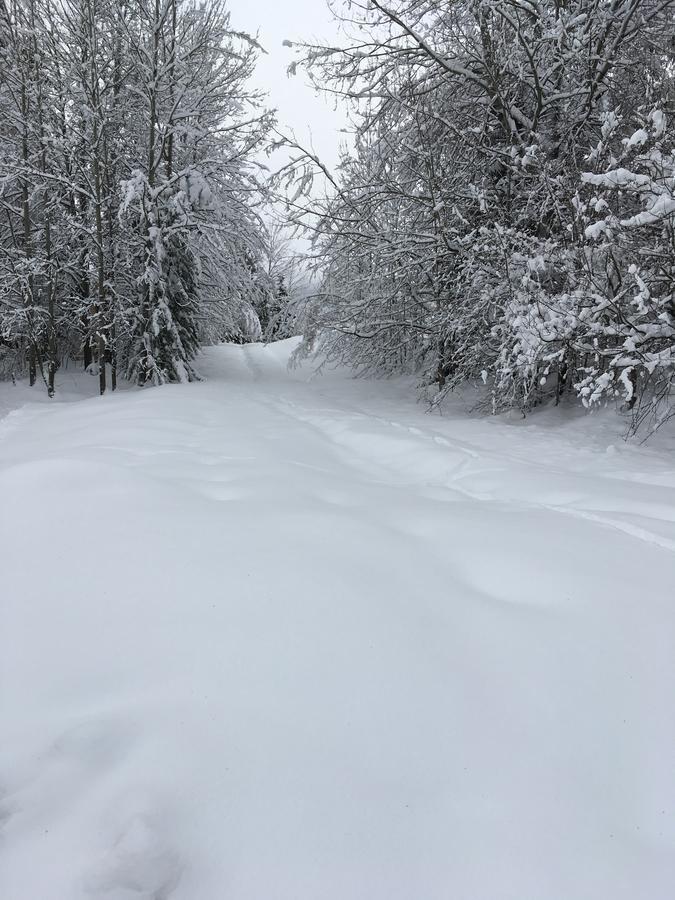 Auberge De Violaine Le Monêtier-les-Bains Eksteriør billede